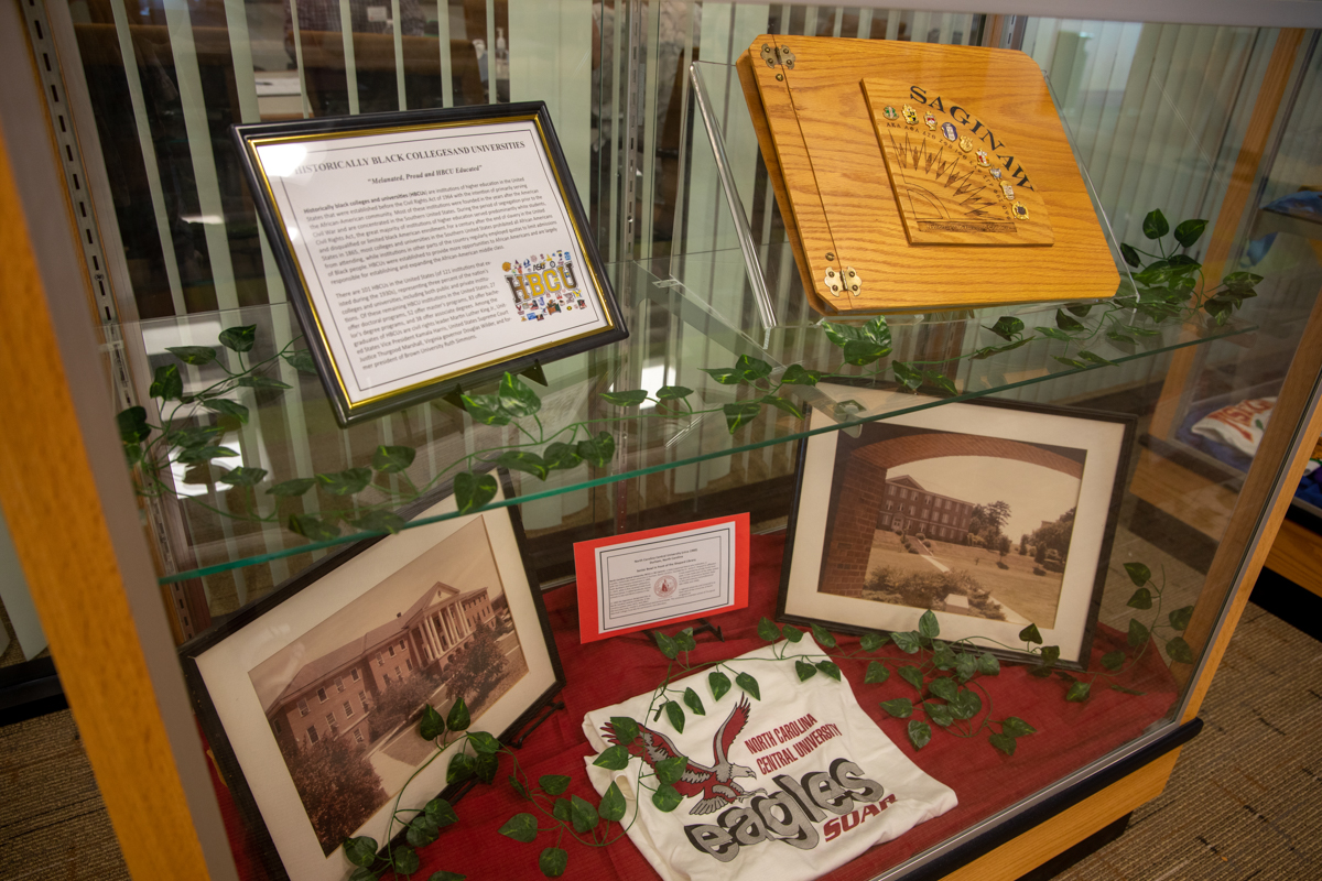 Reflecting Black Art Exhibit-1